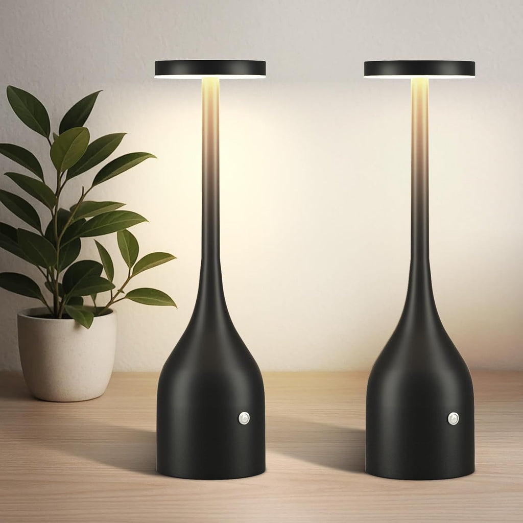 Cordless Table Lamps Set of 2