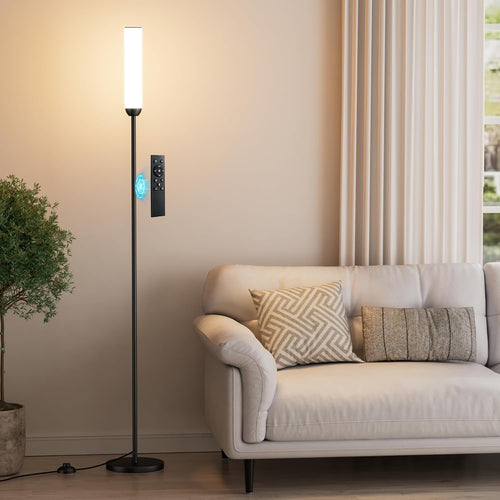 LED Floor Lamp with Remote Control